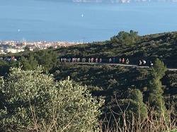 Gd prix La Marseillaise