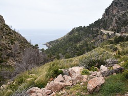 MALLORCA 312